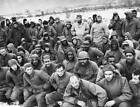 Group Of Captured American Soldiers Korea 1951 Old Photo