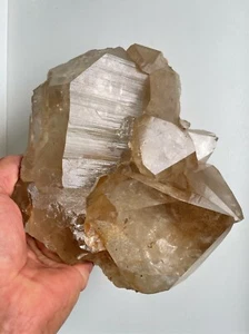 Himalayan Smokey Quartz Record Keeper Cluster Natural Crystal, High Grade Q306 - Foto 1 di 5