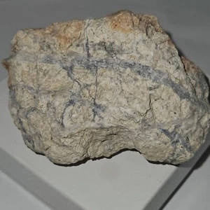 Climax Mine Leadville Molybdenum Ore Mineral Specimen Colorado High Grade - Picture 1 of 10