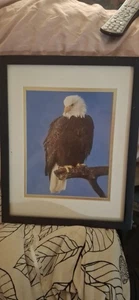 Foto Wild North Eagle - Imagen 1 de 3