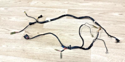 Arnés de cableado principal eléctrico Kawasaki KLX300R 1999-2007 26030-1165 KLX250R Foto 1 de 4