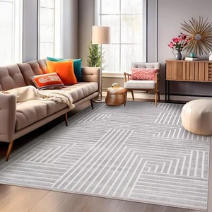 Large Area Rug Cunda Machine Woven Rug Premium Acrylic Rug Living Room Rug CN015 - Picture 1 of 37