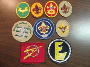 Lote de parches y pasadores Boy Scout Insignia COV12 - Imagen 1 de 2