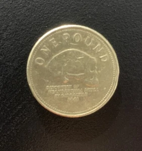 £1 One Pound Coin - Gibraltar - Neanderthal Skull 2006 RARE - Picture 1 of 2