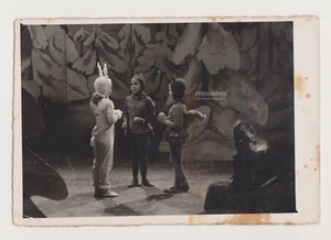 Kinder Theater Bühnenspiel Hase Fuchs Eichhörnchen Wald Kostüm Vintage ausgefallenes Foto - Bild 1 von 7