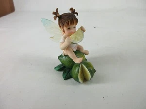 De colección My Little Kitchen Fairies 2001 Lime Pucker Fairie 103262 LINDA - Imagen 1 de 5