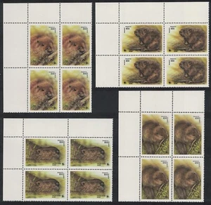 European Beaver 4 Corner Blocks of 4 Belarus 1995 MNH SG#119-122 MI#96-99 - Picture 1 of 1