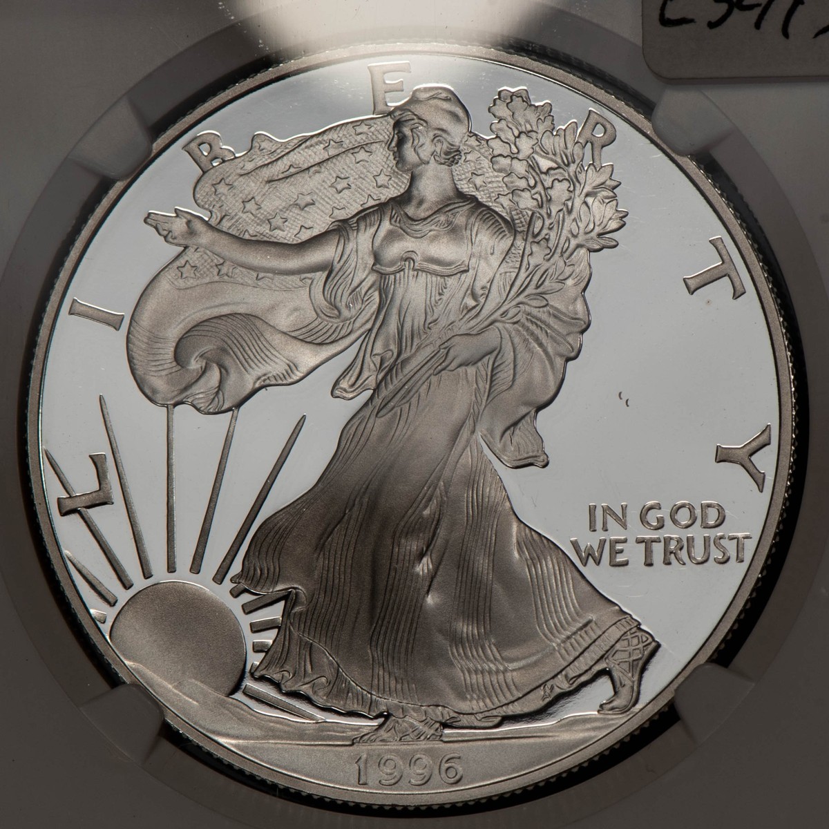 アメリカンイーグル 1996 American Eagle Silver Bullion Coins for sale | eBay