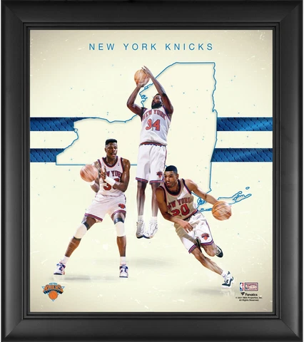 New York Knicks Framed 15x17 1990's Hardwood Classics Franchise Cover