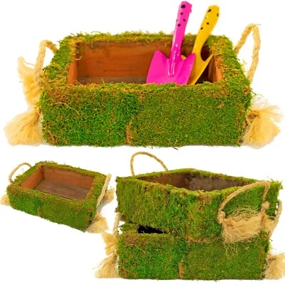 Moss Covered Succulent Planter Box Flower Decorative Storage Tray Potting Crate - Image 1 of 4