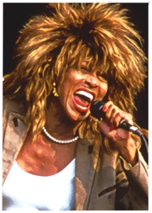 TINA TURNER * Custom ACEO * Fun Novelty * MUSIC ARTIST * Art Card * ATC - Bild 1 von 2