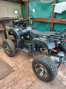 e quad erwachsene - Bild 1 von 3