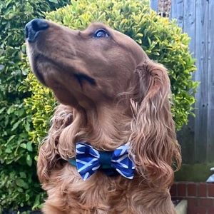 Scotland Football Flag Dog Pet Bow Tie Bowtie World Cup Euros - Picture 1 of 2