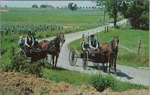Vintage Postcard of Greetings from Amish The Penna. Dutch Country - Picture 1 of 2