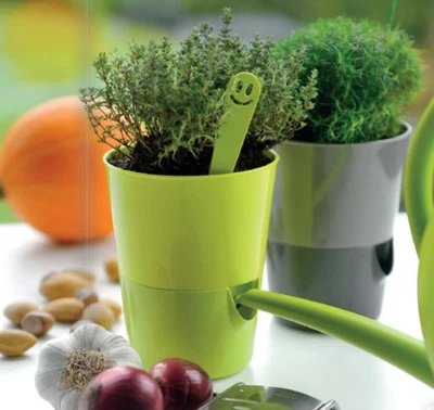 Kräutertopf Bewässerungstopf "Rosmarin" mit Wasserspeicher Ø 11cm in 4 Farben - Bild 1 von 4