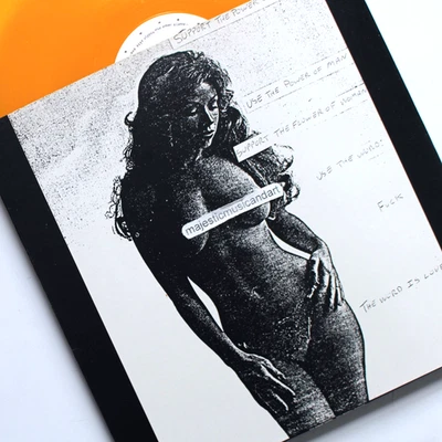 ОРИГИНАЛЬНАЯ ОБЛОЖКА ОРАНЖЕВЫЙ ВИНИЛ 1986 SONIC МОЛОДЕЖНЫЙ ЦВЕТОК 12» ОДИНОЧНЫЙ EX + РЕДКАЯ - Изображение 1 из 4