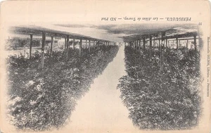 24-PERIGUEUX-N��4176-G/0371 - Bild 1 von 2