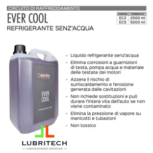 Sintoflon EVER COOL 2 litri WATERLESS COOLANT liquido raffreddamento SENZA ACQUA - Foto 1 di 14