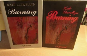 Burning: A Journal ~ Kate Llewellyn. Autor australiano 1997 sc aquí en melb - Imagen 1 de 12
