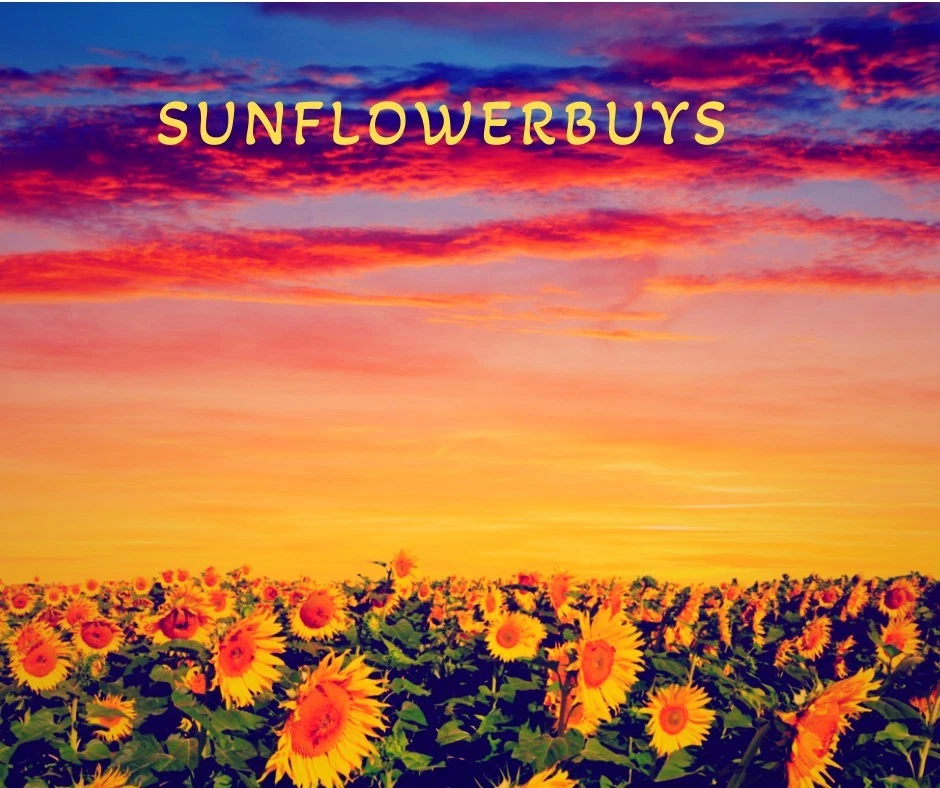 X2 ELF Studio Blush 83133 Candid Coral Compact Pressed Powder Cosmetic Makeup - Image 1 of 1