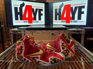 Lebron 11 "NBA2K14" Sz 12 - Picture 1 of 6