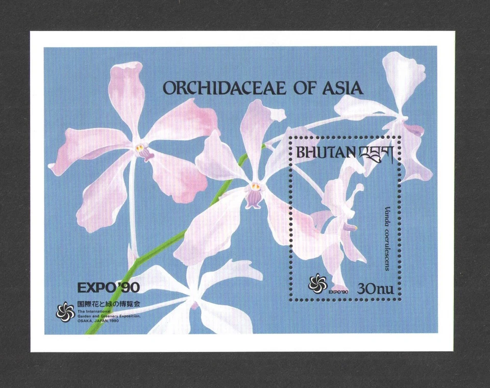 1990 BHUTAN Scott # 882 {ORQUÍDEAS FLORA FLORES} HOJA DE RECUERDO MNH Foto 1 de 1