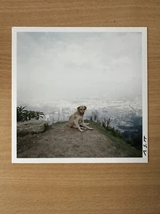 Alec Soth 2X SIGNED Bogota, Colombia, 2003 - Magnum 6" X 6" Limited print - Picture 1 of 4