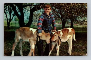 Tarjeta postal de joven granjero posando con terneros c1958 - Imagen 1 de 2