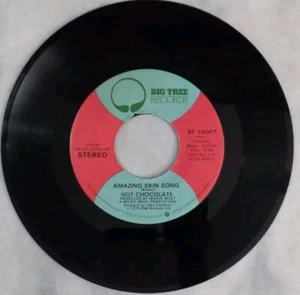 HOT CHOCOLATE You Sexy Thing / Amazing Skin Song BIG TREE BT-16047 - Picture 1 of 2