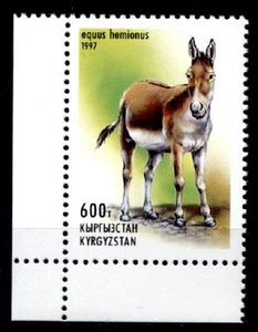 Asiatischer Wildesel. 1W. Eckrand (3). Kirgisien 1997 - Bild 1 von 1