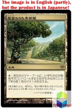 Magic: The Gathering MTG Jpver Foil Exotic Orchard CON Rare