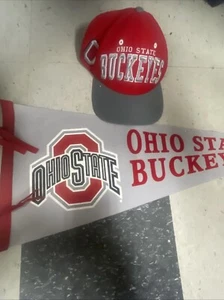 Vintage Ohio State Lot Zephyr Snapback Wool Hat And Pennant - Picture 1 of 18