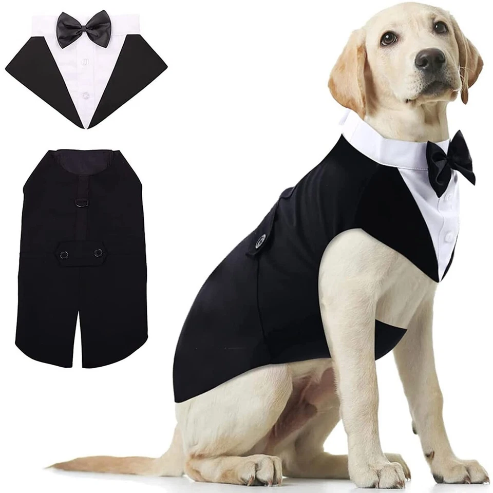 Conjunto de esmoquin y pañuelo Hot Dog fiesta formal para perros pequeños medianos grandes Foto 1 de 1