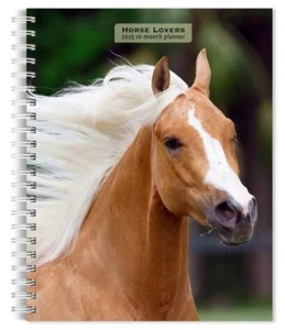 Browntrout Horse Lovers 2025 6 x 7.75 Weekly Engagement Planner w - Picture 1 of 2