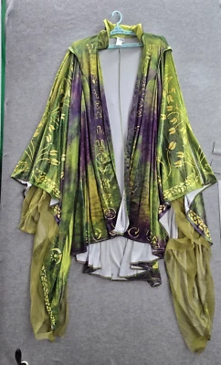 Disney Blouse 6X Green Floral Hocus Pocus Winifred Sanderson Costume Cardigan - Image 1 of 4