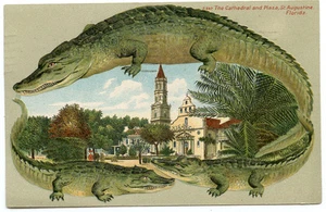 Alligator Border Florida 547 Cathedral & Plaza St Augustine - Picture 1 of 2