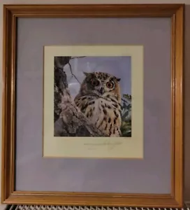 Anthony Gibbs SIGNED LIMITED EDITION Print BENGAL EAGLE OWL Framed 36 X 33cm - Picture 1 of 10