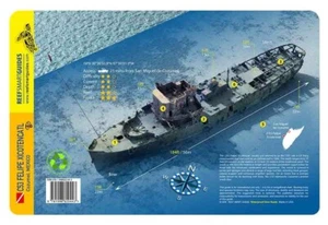 C53 Felipe Xicotencatl Cozumel Reef Smart Waterproof Dive Card - Imagen 1 de 2