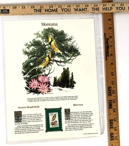 Montana Commemorative Mint-Stamp Postal Commemorative Society Collectable. - Picture 1 of 1