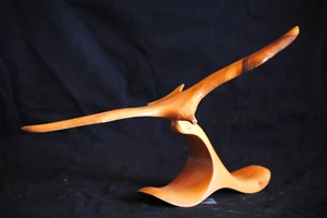 Madera de gaviota pájaro talla oregón decoración madera de mirto - Imagen 1 de 3