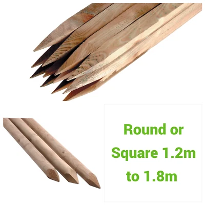 Tree Stakes Fence Stake Square or Round 1.2m (4ft) to 1.8m (6ft) Pack Deals - Image 1 of 4