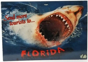 Vintage Shark Send More Tourists To Florida S69 101-2069 Posted Postcard - Picture 1 of 2