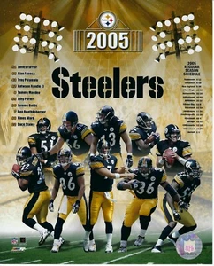 2005 PITTSBURGH STEELERS TEAM 8X10 PHOTOGRAPH GLOSSY PHOTO PHOTOFILE HINES WARD - Picture 1 of 1
