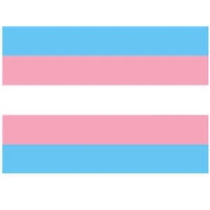 Transgender Flagge 90*150cm PRIDE/ CSD/ Regenbogen-Kommunity/ Hellblau/Rosa/Weiß - Bild 1 von 1