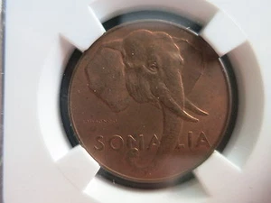 SOMALIA ITALY 10 centesimi 1950 NGC MS 64 RB Red Elephant UNC Africa Animal - Picture 1 of 3