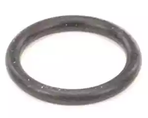 ORING-115BUNA Hubbell Heaters P65 Well O Ring Genuine OEM HUBORING-115BUNA - Picture 1 of 3