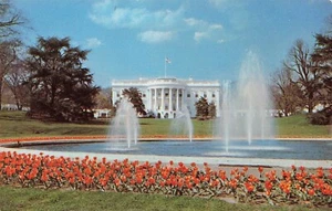 The White House & Grounds Red Tulips Spring Washington DC Vintage Postcard  - Picture 1 of 2