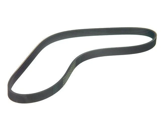 Cinturón principal multi costilla para Volvo V50 2005-2011 2006 2007 2008 2009 2010 KB676RG Foto 1 de 1