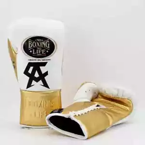 No Boxing No Life Canelo Edition Boxhandschuhe Handarbeit Rindsleder - Bild 1 von 16