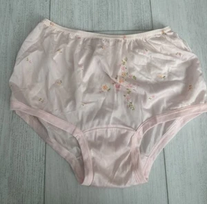Vintage Gragero Nylon SATIN Panties Sz L - Floral - Pink - Picture 1 of 7